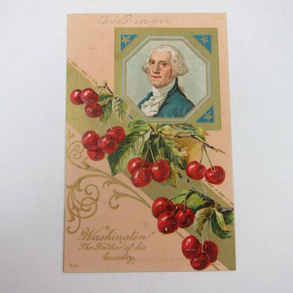 Postcard George Washington Portrait & Cherries Father Patriotic Embossed Antique - Picture 1 of 12